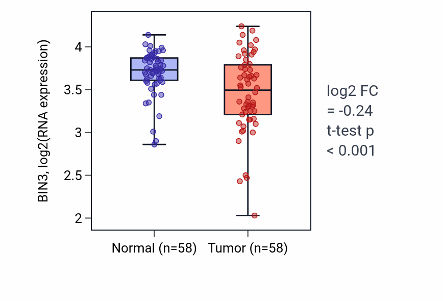 Tumor-vs-normal expression box plot for BIN3 in THCA.