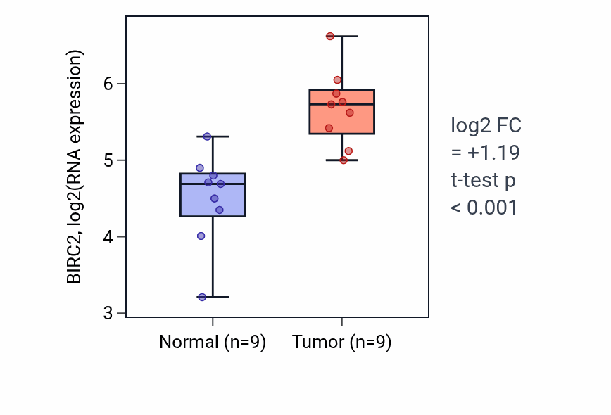 Tumor-vs-normal expression box plot for BIRC2 in HNSC.