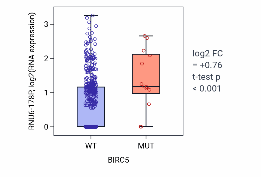 Box plot of RNU6-178P in BIRC5-low vs BIRC5-high samples in UCEC.