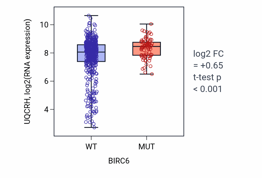 Box plot of UQCRH in BIRC6-low vs BIRC6-high samples in UCEC.