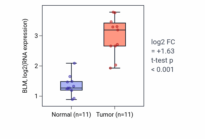 Tumor-vs-normal expression box plot for BLM in HNSC.