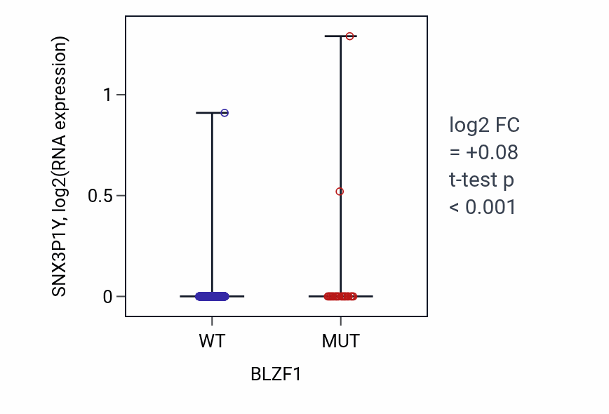 Box plot of SNX3P1Y in BLZF1-low vs BLZF1-high samples in UCEC.