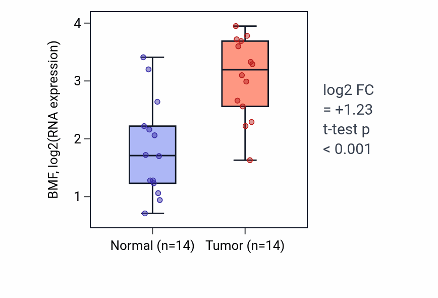 Tumor-vs-normal expression box plot for BMF in HNSC.