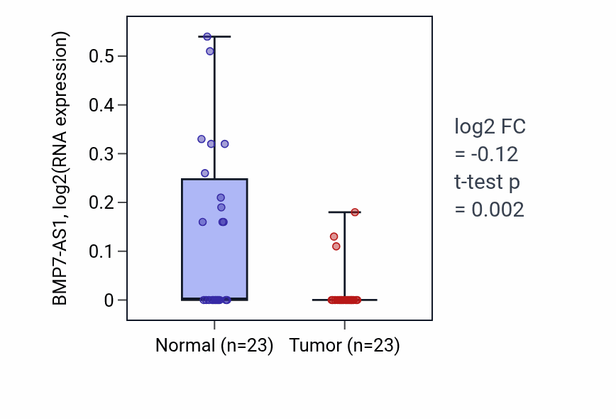 Tumor-vs-normal expression box plot for BMP7-AS1 in THCA.