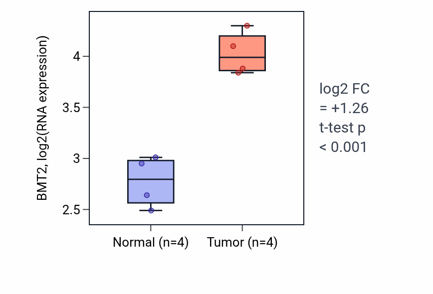 Tumor-vs-normal expression box plot for BMT2 in KIRP.