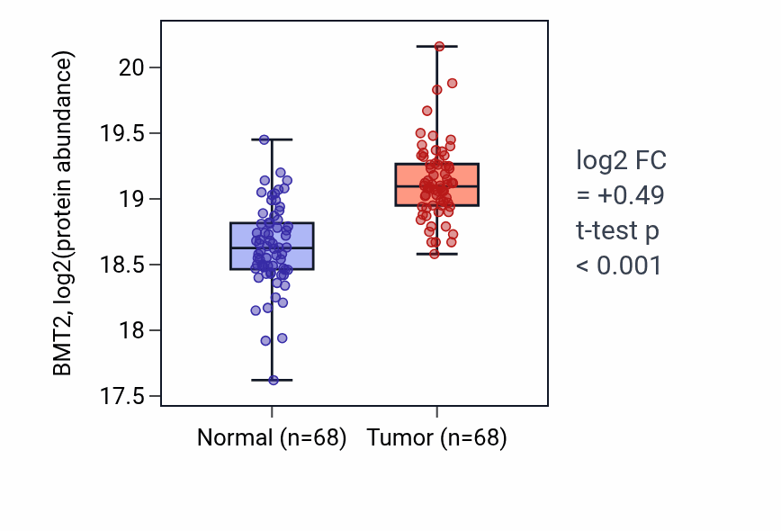Tumor-vs-normal mass-spec protein box plot for BMT2 in LSCC.