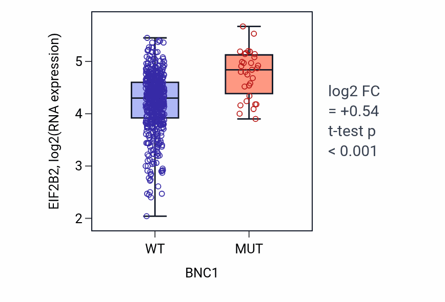 Box plot of EIF2B2 in BNC1-low vs BNC1-high samples in UCEC.