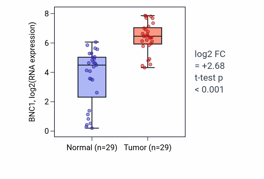 Tumor-vs-normal expression box plot for BNC1 RNA in HNSC.