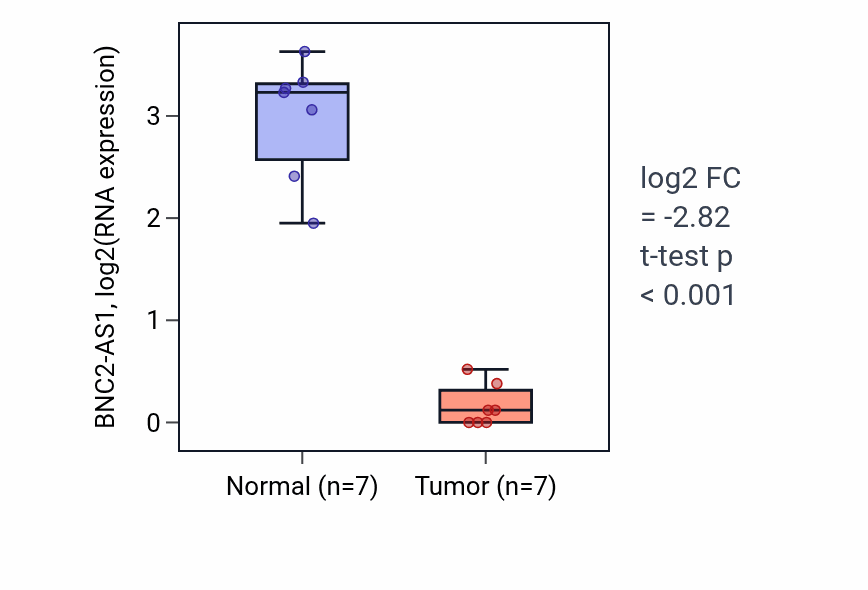 Tumor-vs-normal expression box plot for BNC2-AS1 in KICH.