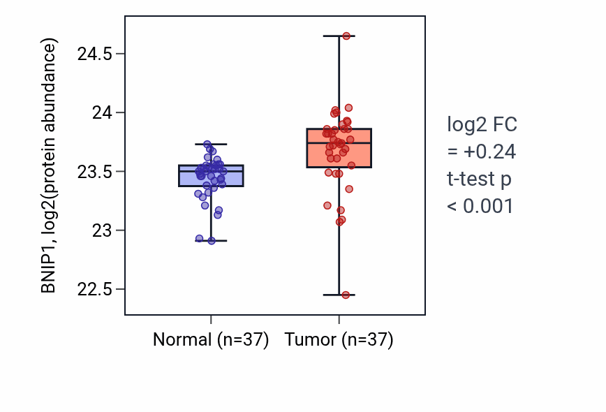 Tumor-vs-normal mass-spec protein box plot for BNIP1 in LUAD.