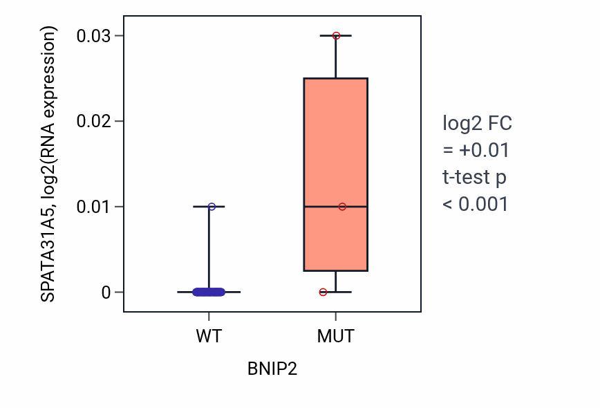 Box plot of SPATA31A5 in BNIP2-low vs BNIP2-high samples in LUNG_NSCLC_LUAD.