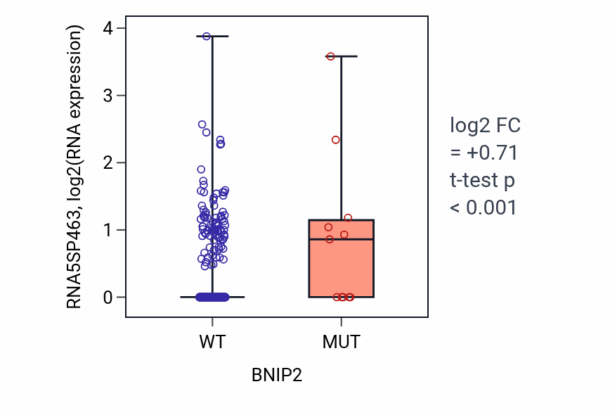 Box plot of RNA5SP463 in BNIP2-low vs BNIP2-high samples in UCEC.