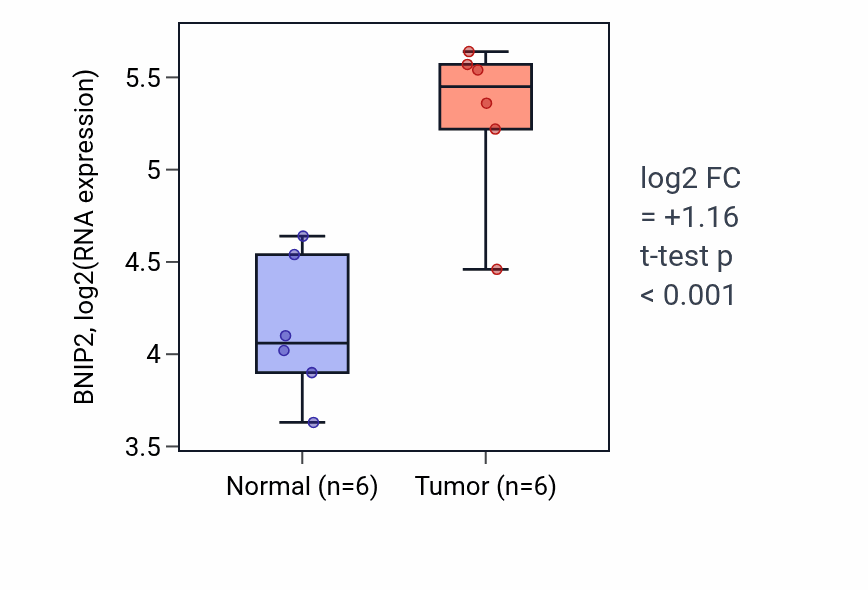 Tumor-vs-normal expression box plot for BNIP2 in HNSC.