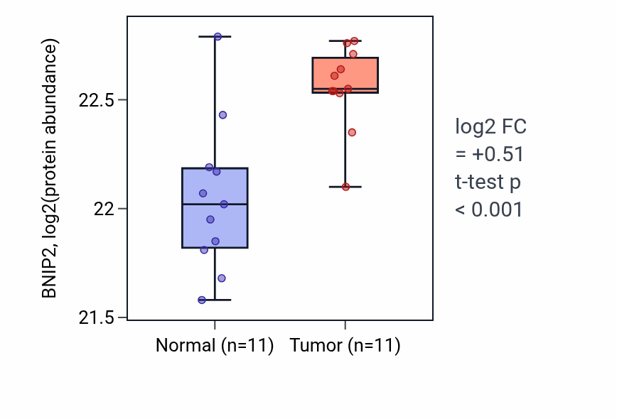 Tumor-vs-normal mass-spec protein box plot for BNIP2 in CCRCC.