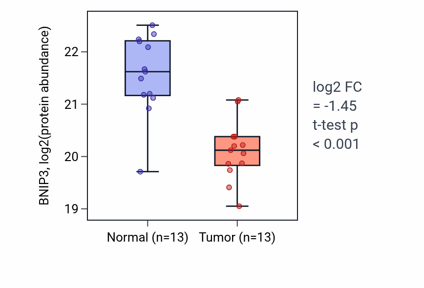 Tumor-vs-normal mass-spec protein box plot for BNIP3 in PDAC.