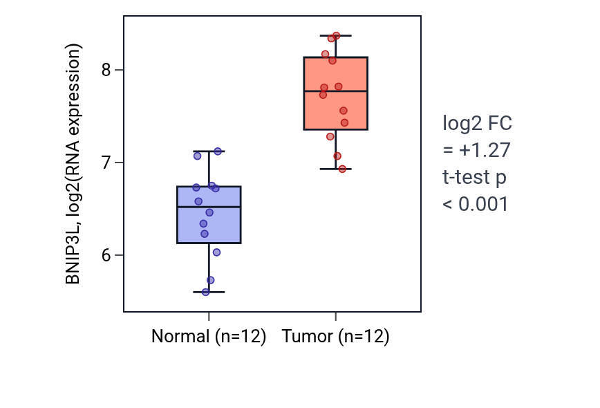 Tumor-vs-normal expression box plot for BNIP3L in KIRC.
