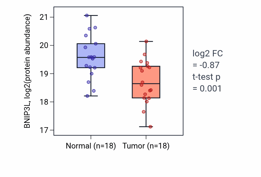Tumor-vs-normal mass-spec protein box plot for BNIP3L in HNSC.