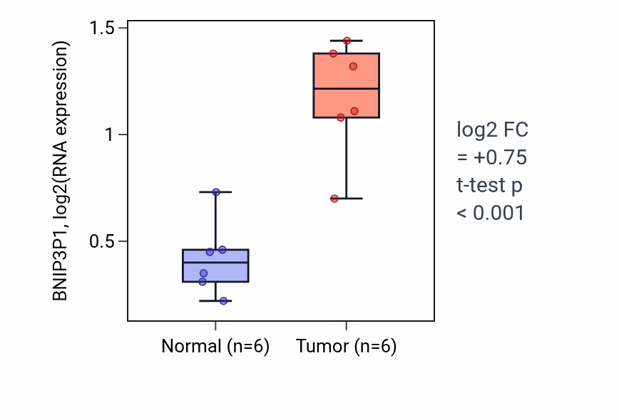 Tumor-vs-normal expression box plot for BNIP3P1 in KIRC.