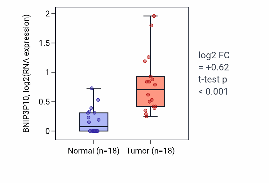 Tumor-vs-normal expression box plot for BNIP3P10 RNA in BLCA.