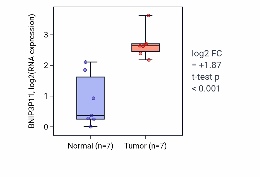 Tumor-vs-normal expression box plot for BNIP3P11 in BLCA.