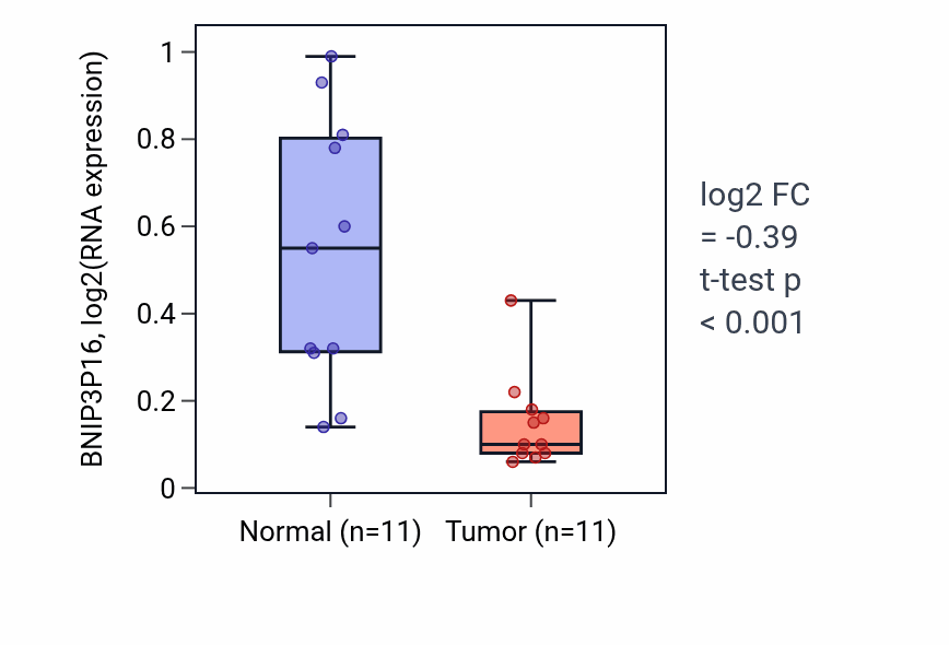 Tumor-vs-normal expression box plot for BNIP3P16 in KICH.
