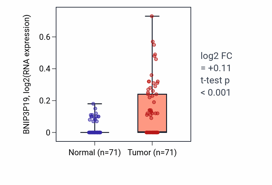 Tumor-vs-normal expression box plot for BNIP3P19 in KIRC.