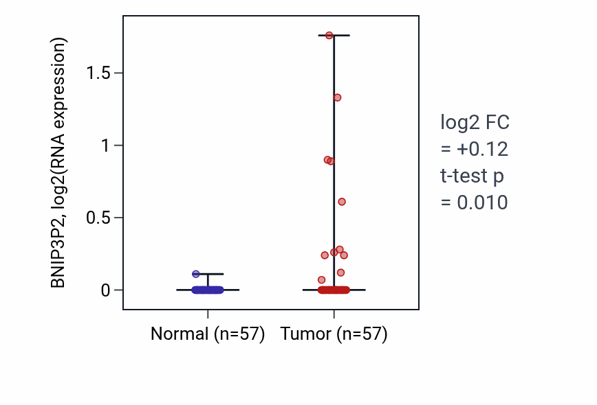 Tumor-vs-normal expression box plot for BNIP3P2 in LUAD.
