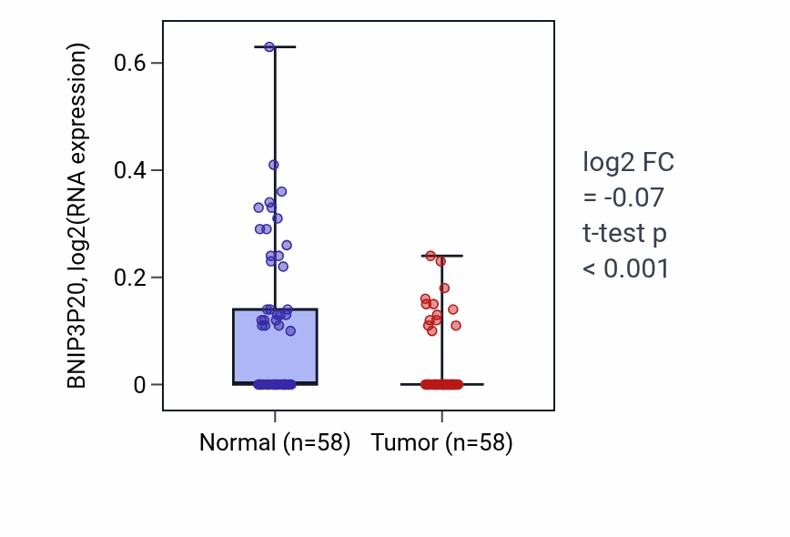 Tumor-vs-normal expression box plot for BNIP3P20 in THCA.