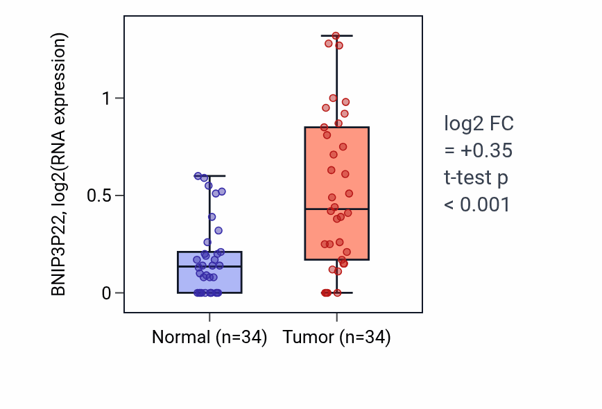 Tumor-vs-normal expression box plot for BNIP3P22 in KIRC.