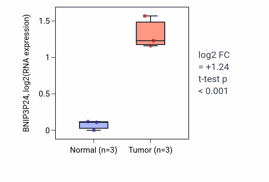 Tumor-vs-normal expression box plot for BNIP3P24 in BLCA.