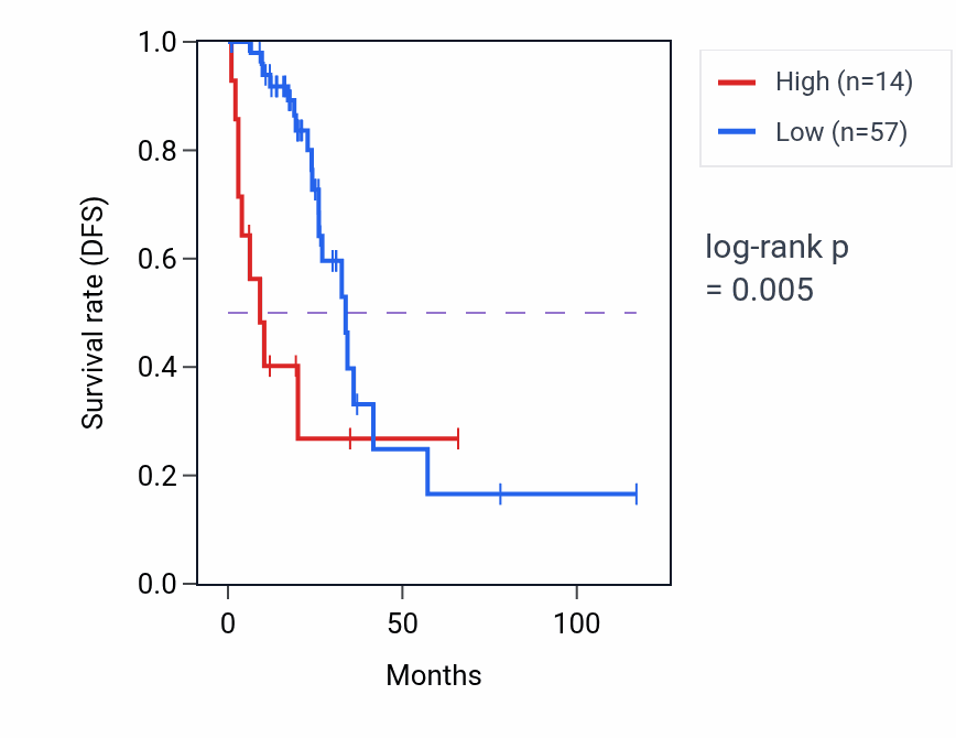 Kaplan&ndash;Meier survival curve for BNIP3P25 RNA expression in READ: high vs low expression groups.
