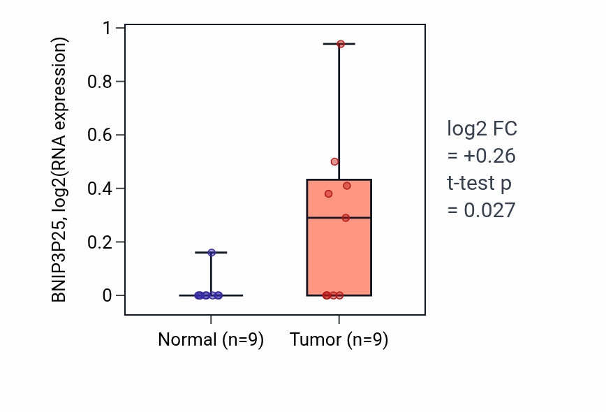 Tumor-vs-normal expression box plot for BNIP3P25 RNA in UCEC.