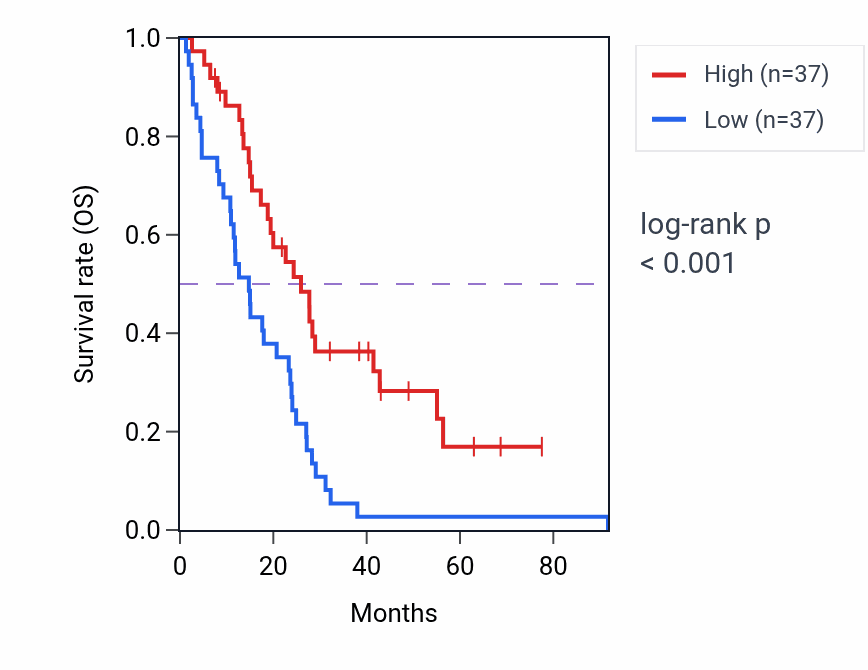 Kaplan&ndash;Meier survival curve for BNIP3P28 RNA expression in MESO: high vs low expression groups.