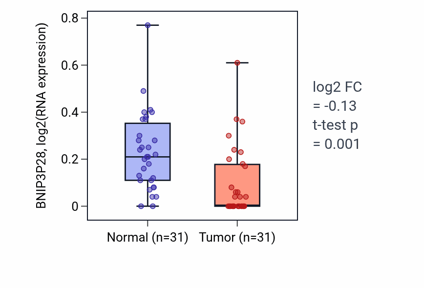 Tumor-vs-normal expression box plot for BNIP3P28 in KIRP.