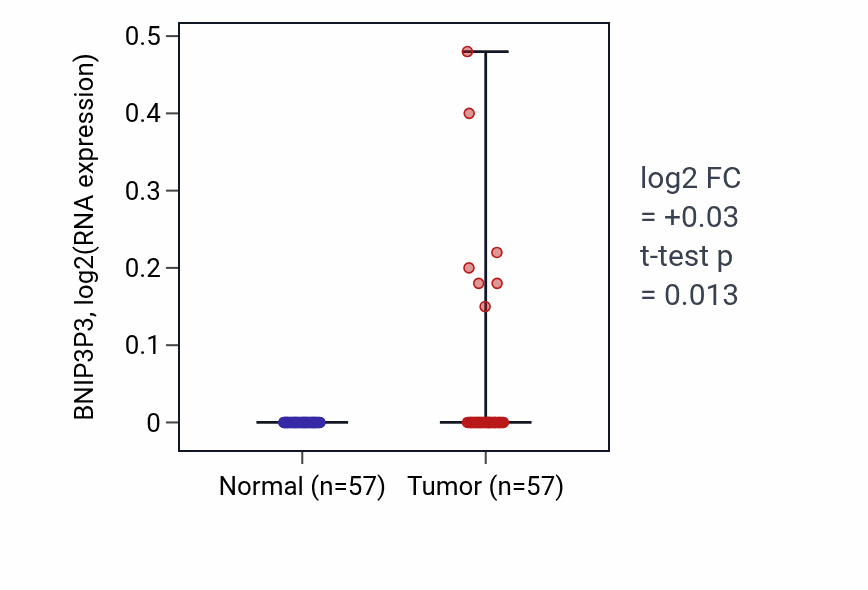 Tumor-vs-normal expression box plot for BNIP3P3 in LUAD.