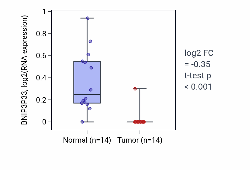 Tumor-vs-normal expression box plot for BNIP3P33 in KIRC.