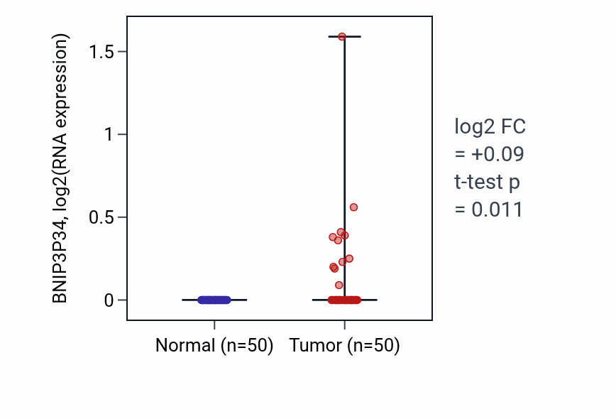 Tumor-vs-normal expression box plot for BNIP3P34 in LIHC.
