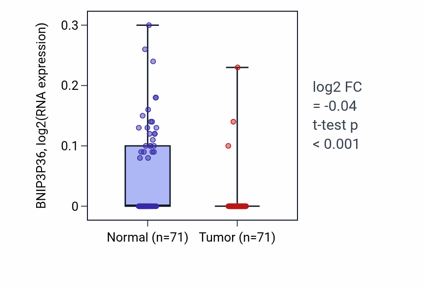 Tumor-vs-normal expression box plot for BNIP3P36 in KIRC.