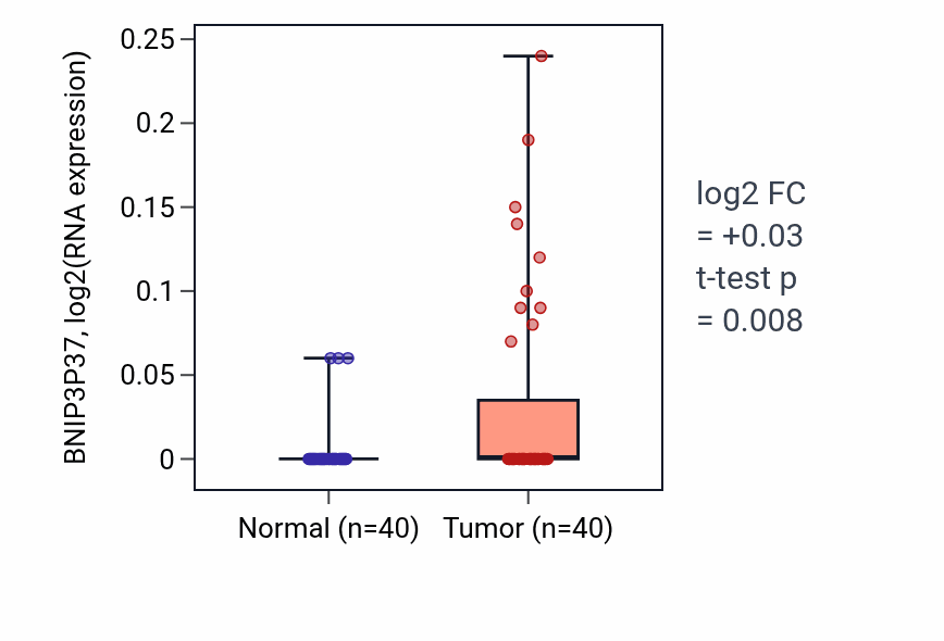 Tumor-vs-normal expression box plot for BNIP3P37 in HNSC.