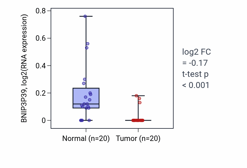 Tumor-vs-normal expression box plot for BNIP3P39 in KIRC.