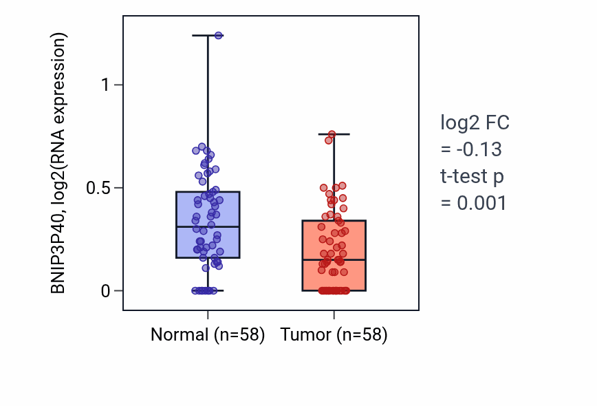 Tumor-vs-normal expression box plot for BNIP3P40 in THCA.
