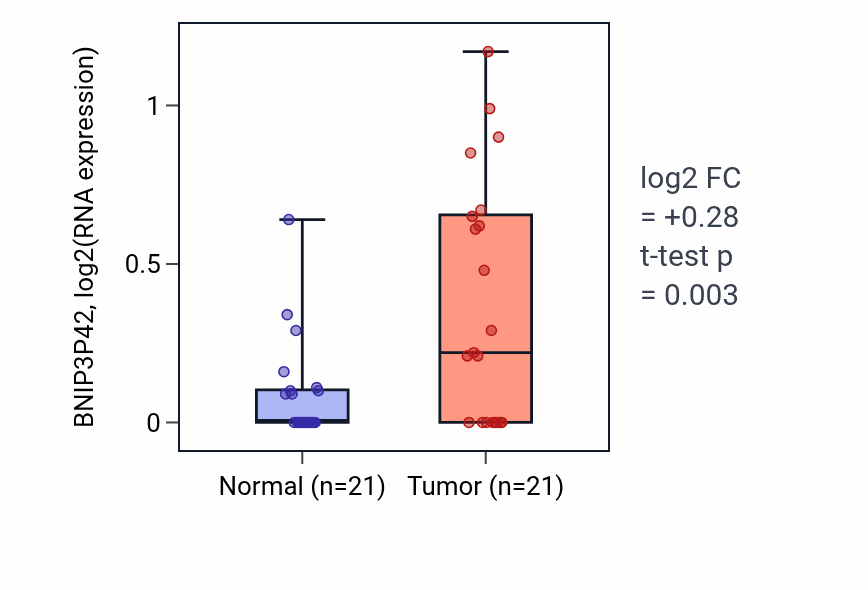 Tumor-vs-normal expression box plot for BNIP3P42 in STAD.