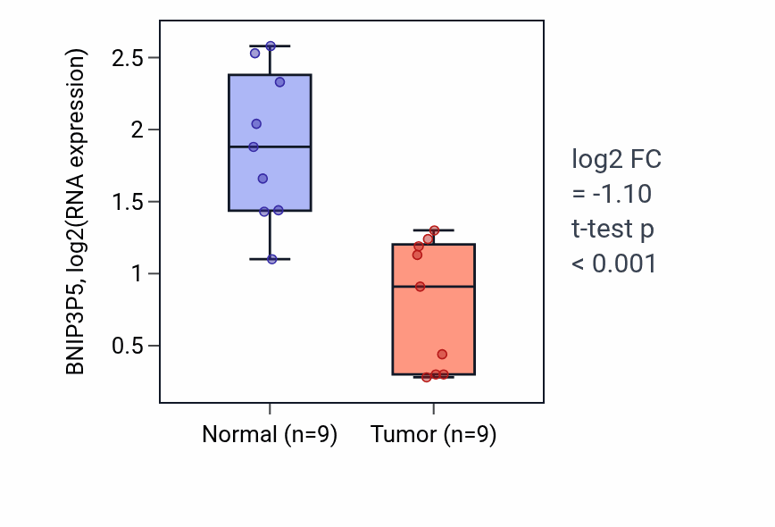 Tumor-vs-normal expression box plot for BNIP3P5 in LUAD.