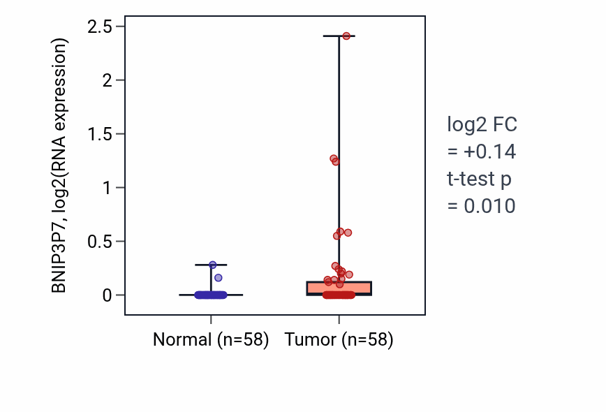 Tumor-vs-normal expression box plot for BNIP3P7 in THCA.