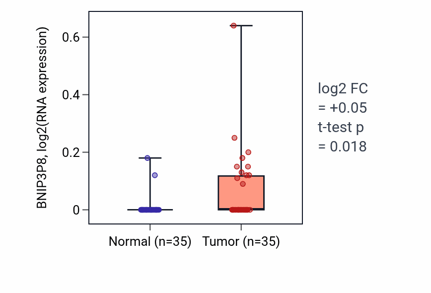 Tumor-vs-normal expression box plot for BNIP3P8 RNA in LUSC.