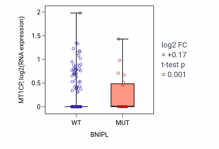 Box plot of MT1CP in BNIPL-low vs BNIPL-high samples in UCEC.