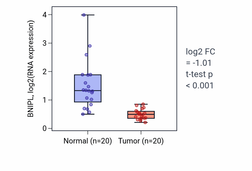 Tumor-vs-normal expression box plot for BNIPL in KIRC.