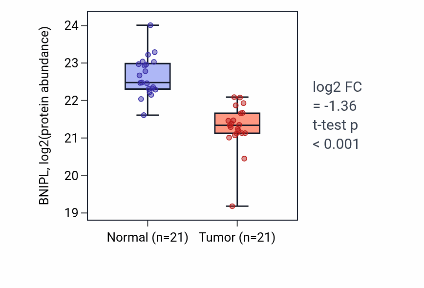 Tumor-vs-normal mass-spec protein box plot for BNIPL in HNSC.
