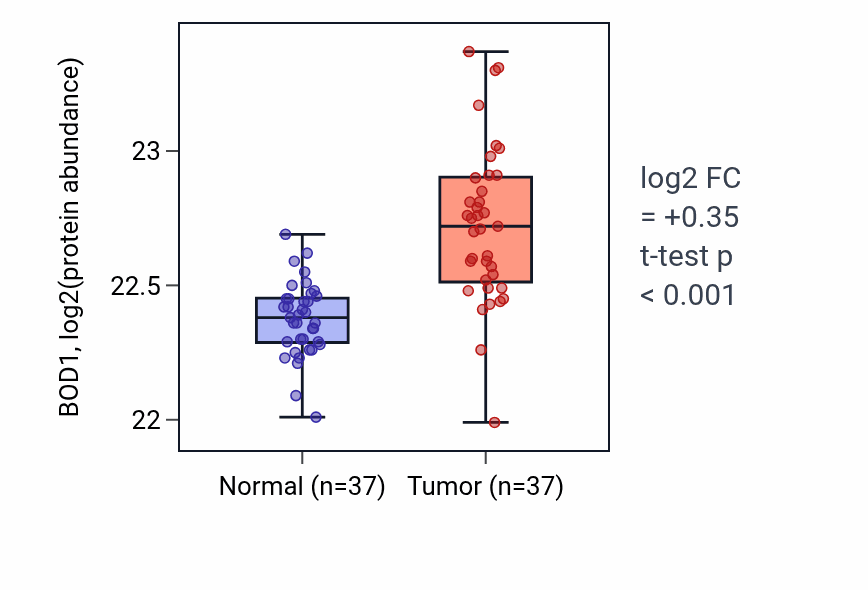 Tumor-vs-normal mass-spec protein box plot for BOD1 in LUAD.