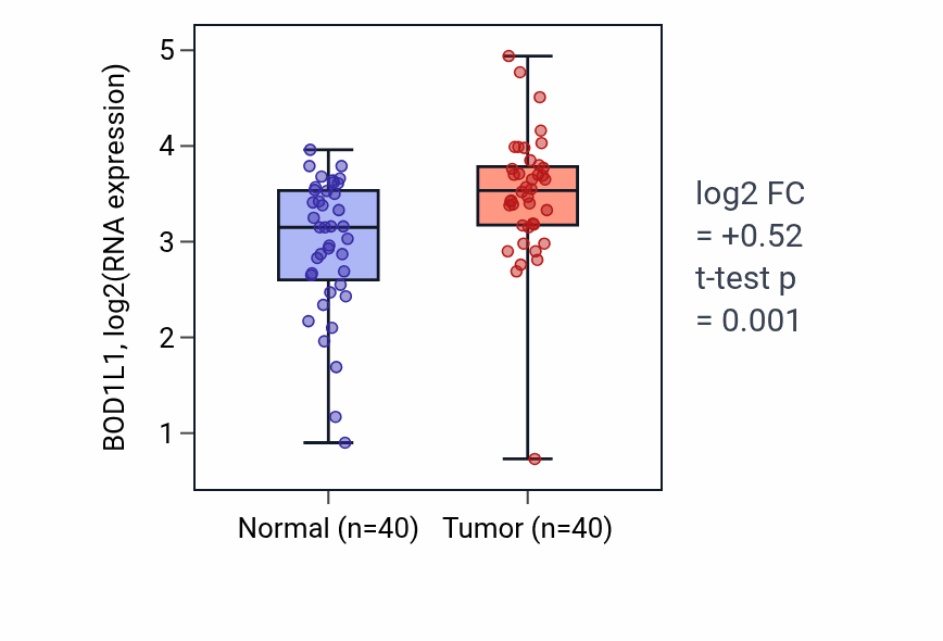 Tumor-vs-normal expression box plot for BOD1L1 in HNSC.